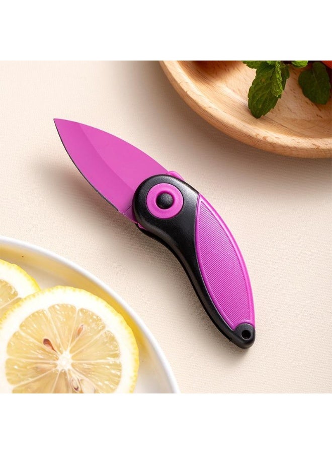 طقم سكين فاكهة قابل للطي عدد 2 قطعة من الفولاذ المقاوم للصدأ – سكاكين مطبخ محمولة لتقشير وتقطيع الفواكه والخضروات – تصميم آمن بآلية طي كاملة ومقبض مريح مانع للانزلاق – مثالي للاستخدام المنزلي، الرحلات، التخييم، العمل، المدرسة – Portable Folding Fruit Knife Set 2 Pieces - Image 5